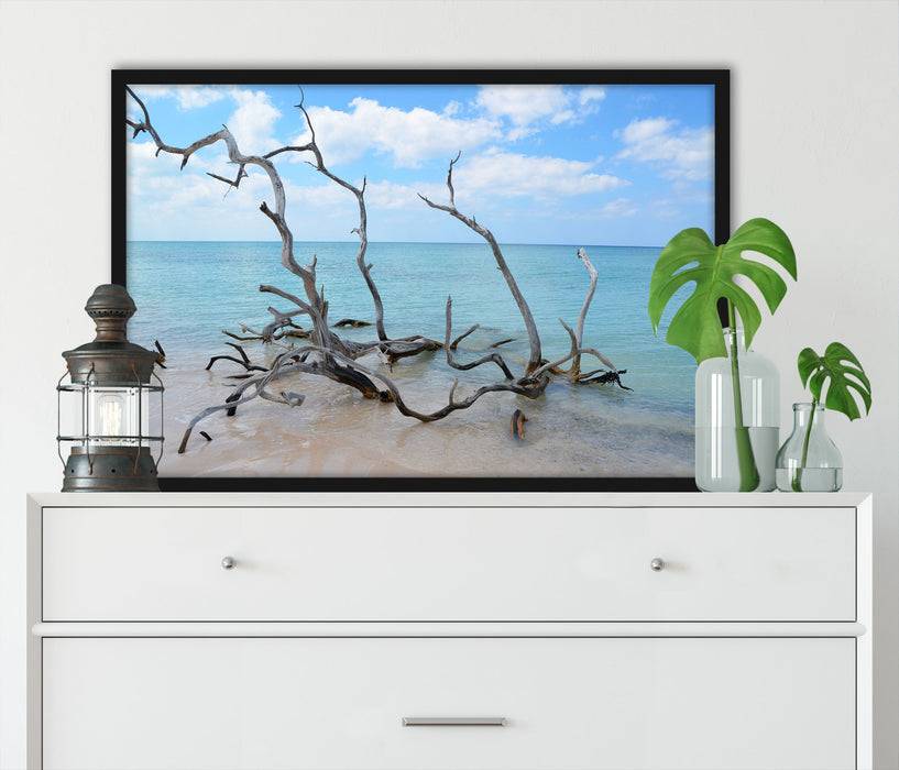Pixxprint Strand mit Treibholz in Kuba, Poster mit Bilderrahmen Großer Ausverkauf