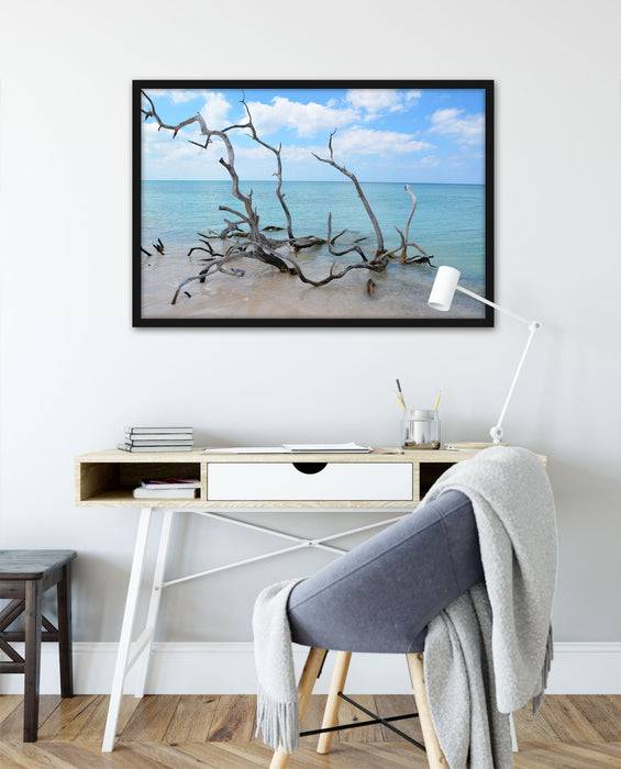 Pixxprint Strand mit Treibholz in Kuba, Poster mit Bilderrahmen Großer Ausverkauf