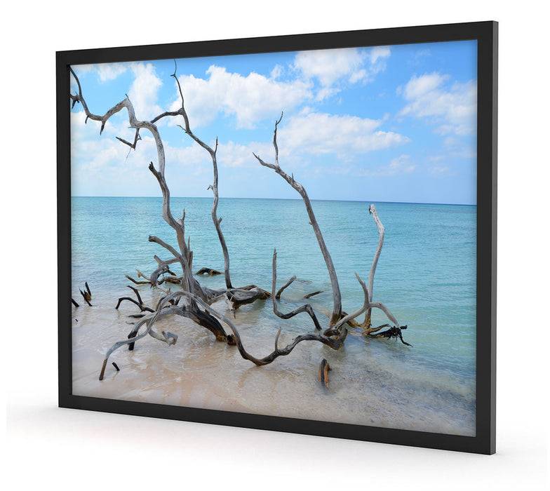 Pixxprint Strand mit Treibholz in Kuba, Poster mit Bilderrahmen Großer Ausverkauf