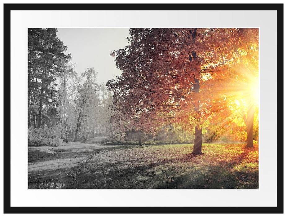 Pixxprint Weg durch bunten Herbstwald B&W Detail, im Galerie-Passepartout Bilderrahmen Jubiläumsangebot