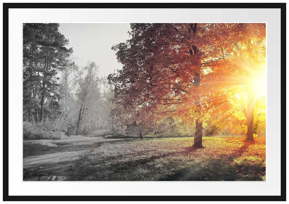 Pixxprint Weg durch bunten Herbstwald B&W Detail, im Galerie-Passepartout Bilderrahmen Jubiläumsangebot