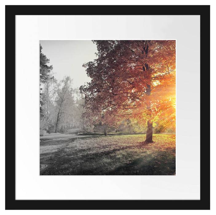 Pixxprint Weg durch bunten Herbstwald B&W Detail, im Galerie-Passepartout Bilderrahmen Jubiläumsangebot