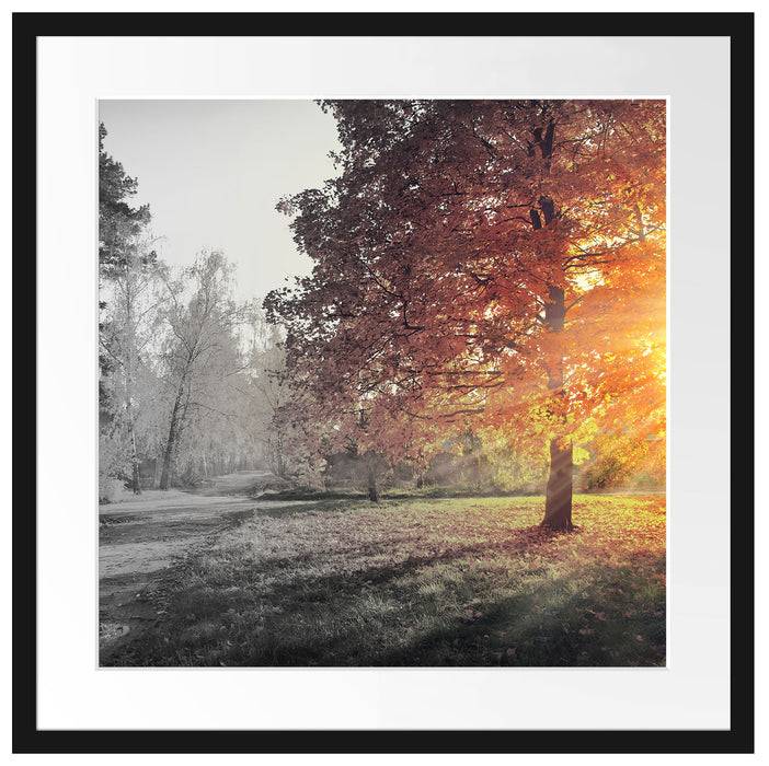 Pixxprint Weg durch bunten Herbstwald B&W Detail, im Galerie-Passepartout Bilderrahmen Jubiläumsangebot