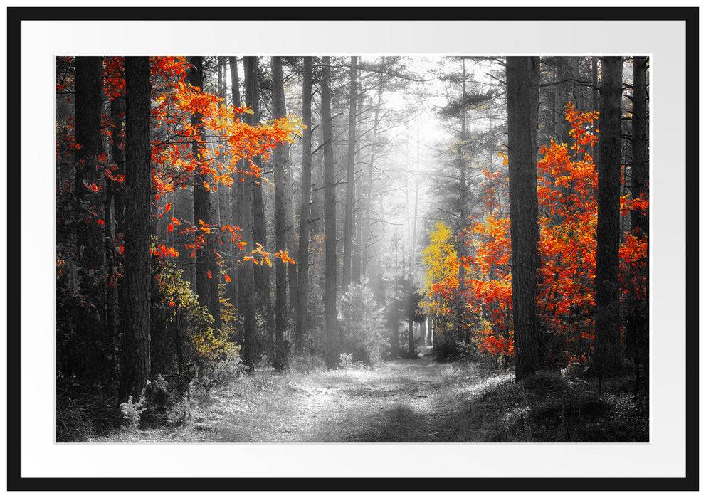 Pixxprint Sonnige Lichtung im Herbstwald B&W Detail, im Galerie-Passepartout Bilderrahmen Exklusive Angebote