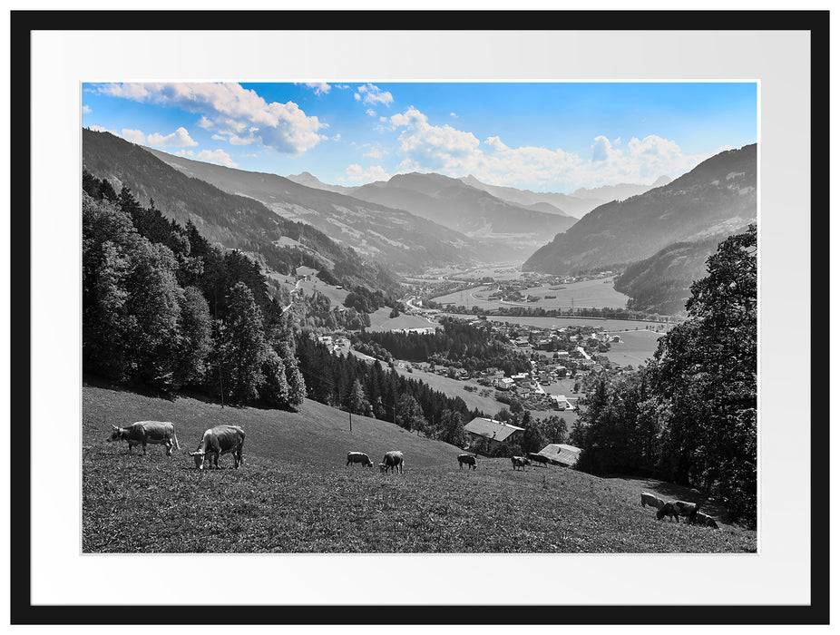 Pixxprint Kuhherde auf Zillertaler Almwiese B&W Detail, im Galerie-Passepartout Bilderrahmen Blitzangebot