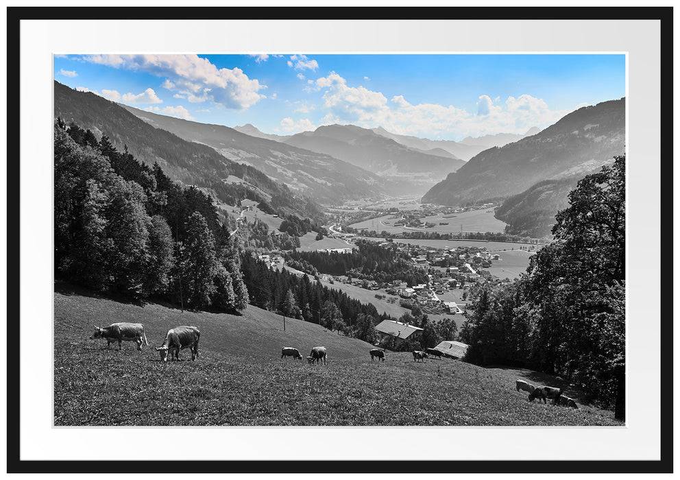 Pixxprint Kuhherde auf Zillertaler Almwiese B&W Detail, im Galerie-Passepartout Bilderrahmen Blitzangebot