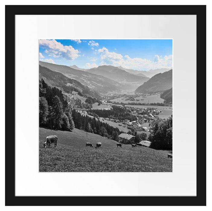 Pixxprint Kuhherde auf Zillertaler Almwiese B&W Detail, im Galerie-Passepartout Bilderrahmen Blitzangebot