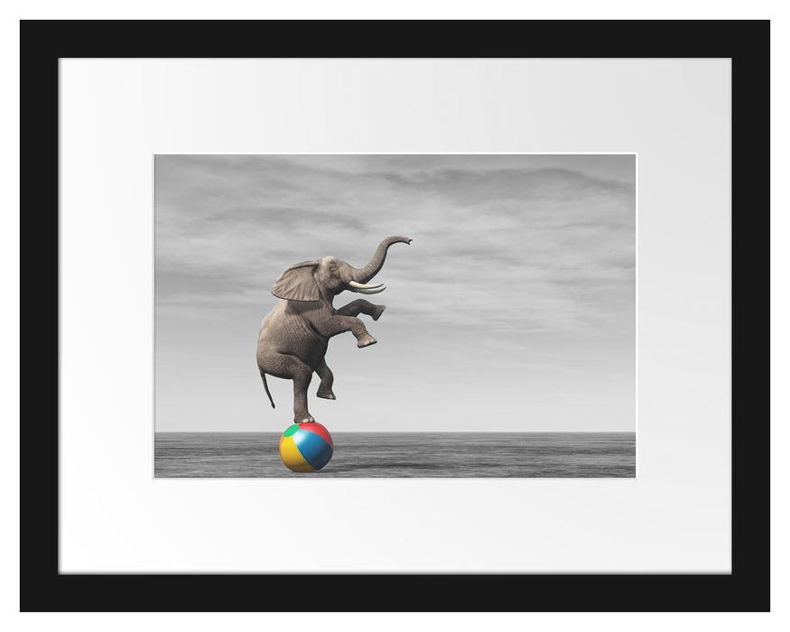 Pixxprint Elefant in der Wüste balanciert auf Ball B&W Detail, im Galerie-Passepartout Bilderrahmen