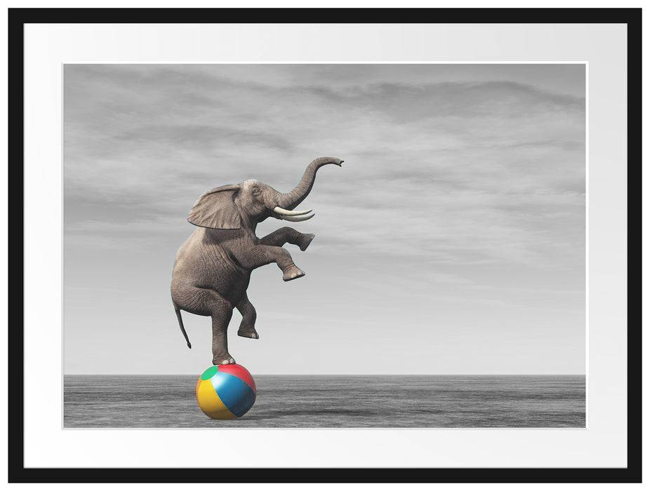 Pixxprint Elefant in der Wüste balanciert auf Ball B&W Detail, im Galerie-Passepartout Bilderrahmen Neuheiten