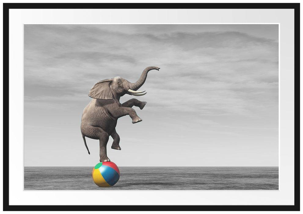 Pixxprint Elefant in der Wüste balanciert auf Ball B&W Detail, im Galerie-Passepartout Bilderrahmen Neuheiten