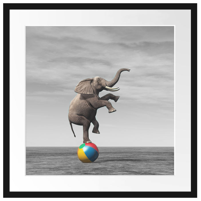 Pixxprint Elefant in der Wüste balanciert auf Ball B&W Detail, im Galerie-Passepartout Bilderrahmen Neuheiten
