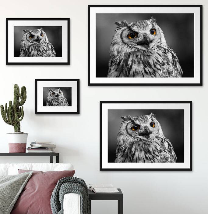 Pixxprint wunderschöne Waldeule, im Galerie-Passepartout Bilderrahmen Neueste Stile