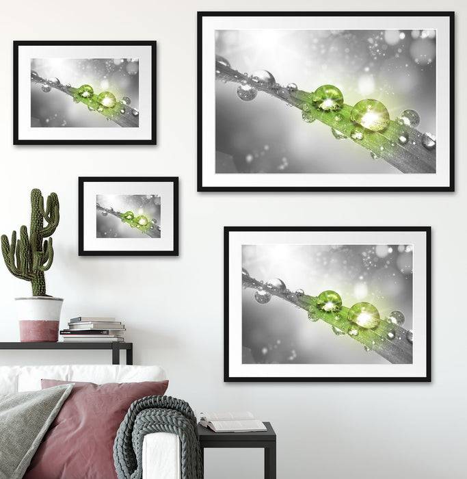 Pixxprint Wassertropfen auf Grashalm, im Galerie-Passepartout Bilderrahmen Bis zu 65% Rabatt