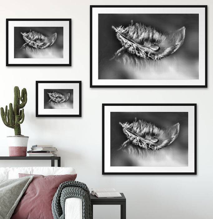 Pixxprint Wassertropfen auf Feder, im Galerie-Passepartout Bilderrahmen 50% Rabatt mit kostenlosem Versand