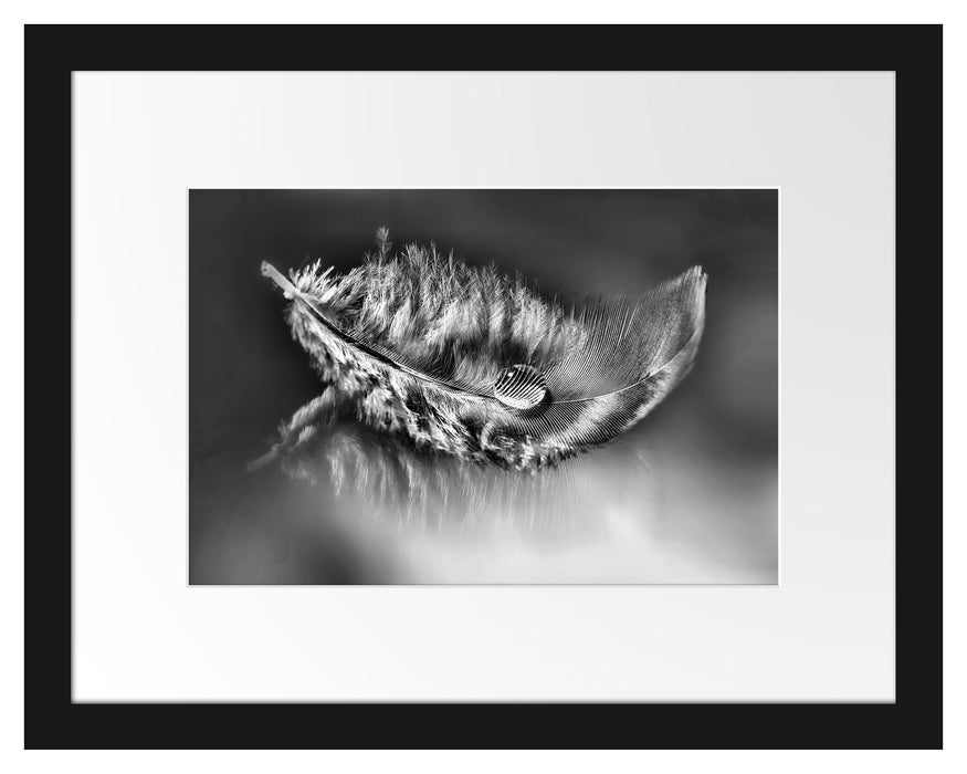 Pixxprint Wassertropfen auf Feder, im Galerie-Passepartout Bilderrahmen 50% Rabatt mit kostenlosem Versand