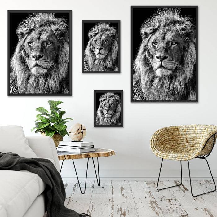 Pixxprint beeindruckender Löwe Black Friday Preise
