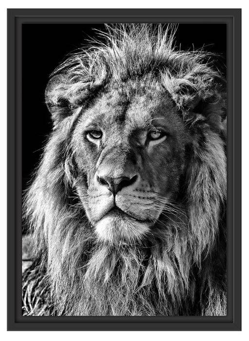 Pixxprint beeindruckender Löwe Black Friday Preise