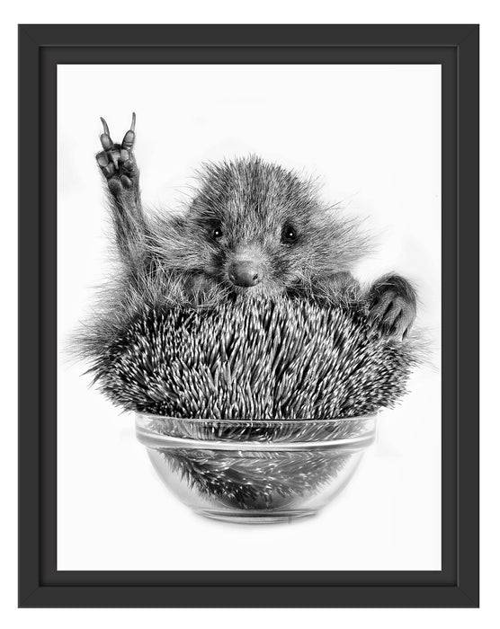 Pixxprint Igel in einer Schüssel Peace, im Schwebe-Effekt Bilderrahmen Rabatte dieses Monats