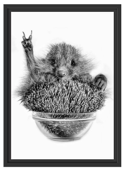 Pixxprint Igel in einer Schüssel Peace, im Schwebe-Effekt Bilderrahmen Rabatte dieses Monats
