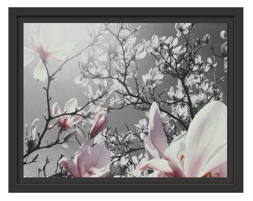 Pixxprint schöne Magnolie Blüten, im Schwebe-Effekt Bilderrahmen Günstiger Verkauf