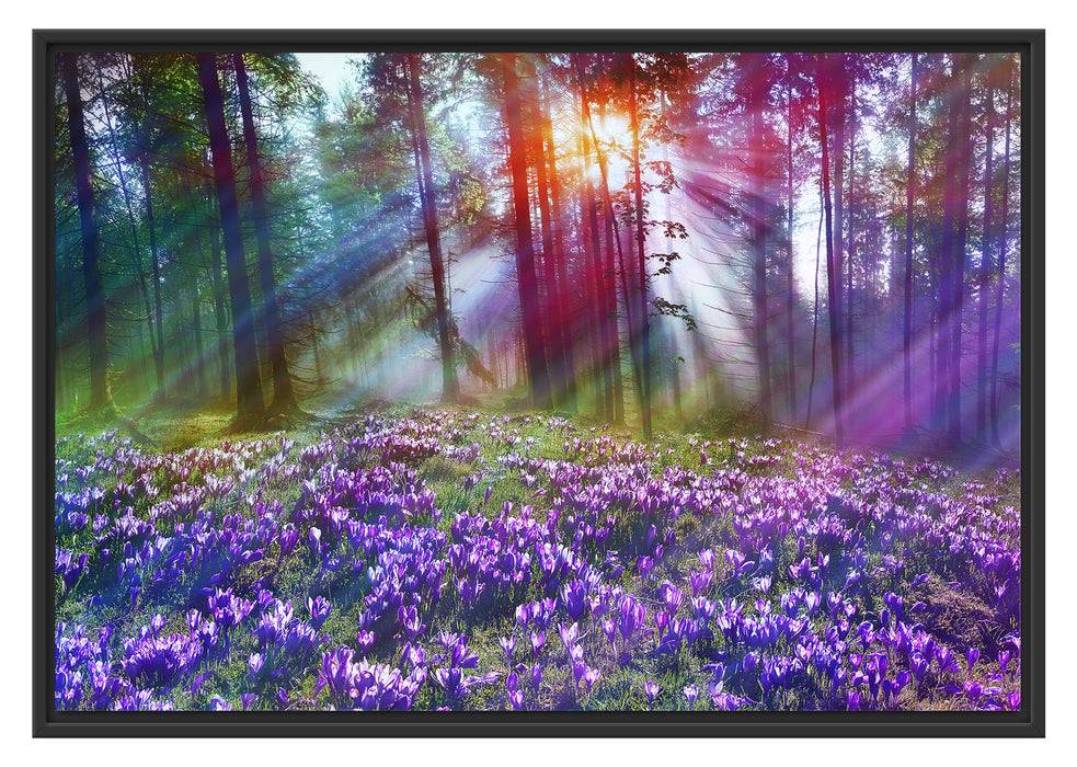 Pixxprint Krokusse im Wald, im Schwebe-Effekt Bilderrahmen Großer Ausverkauf