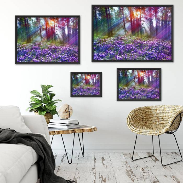 Pixxprint Krokusse im Wald, im Schwebe-Effekt Bilderrahmen Großer Ausverkauf