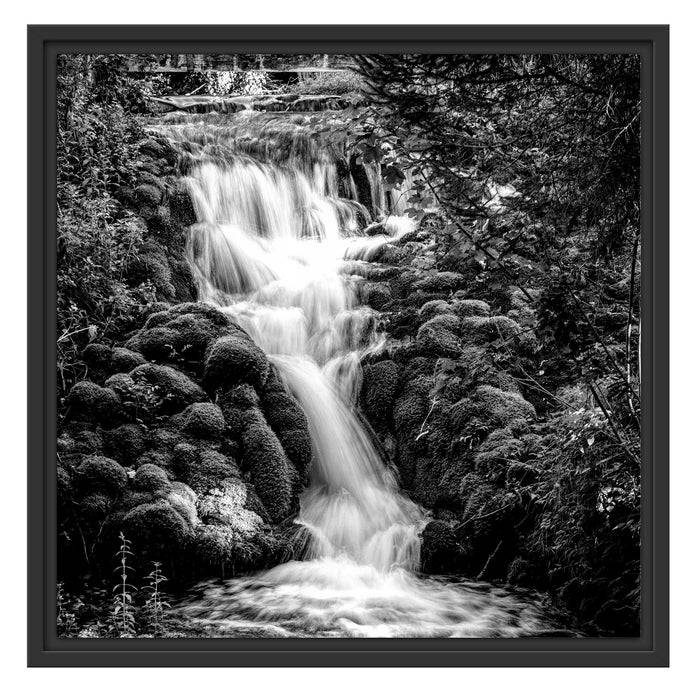 Pixxprint Wasserfall im grünen Wald, Monochrome, im Schwebe-Effekt Bilderrahmen Flash Sale