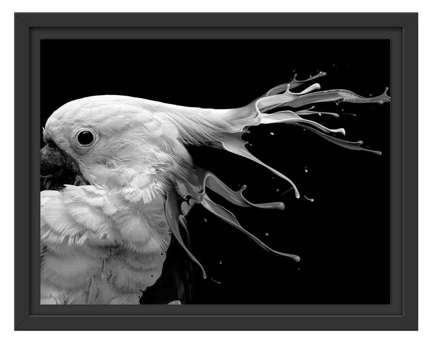 Pixxprint Papagei mit buntem Kamm, Monochrome, im Schwebe-Effekt Bilderrahmen