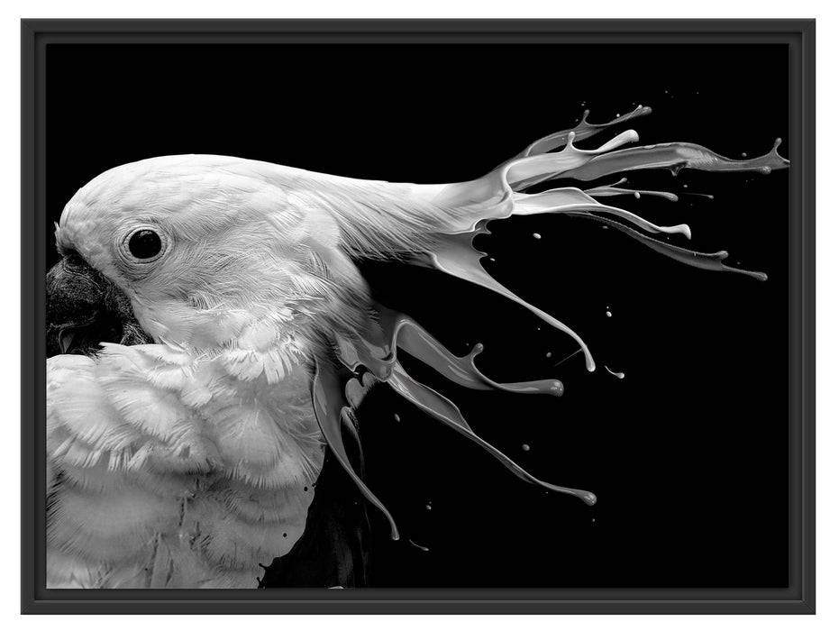 Pixxprint Papagei mit buntem Kamm, Monochrome, im Schwebe-Effekt Bilderrahmen Weihnachtsangebot