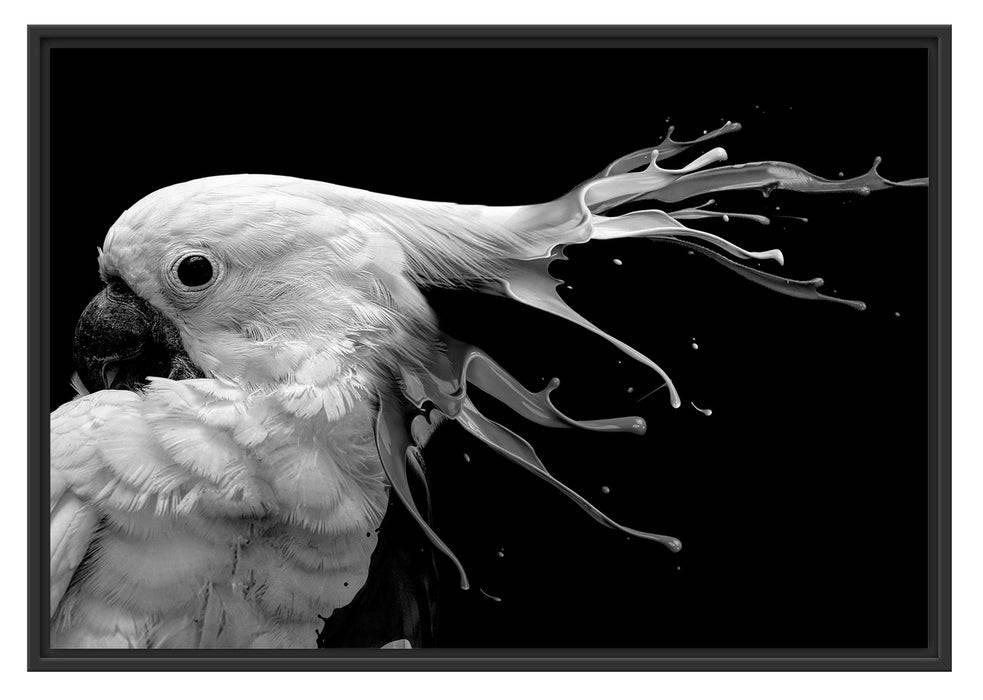 Pixxprint Papagei mit buntem Kamm, Monochrome, im Schwebe-Effekt Bilderrahmen Weihnachtsangebot