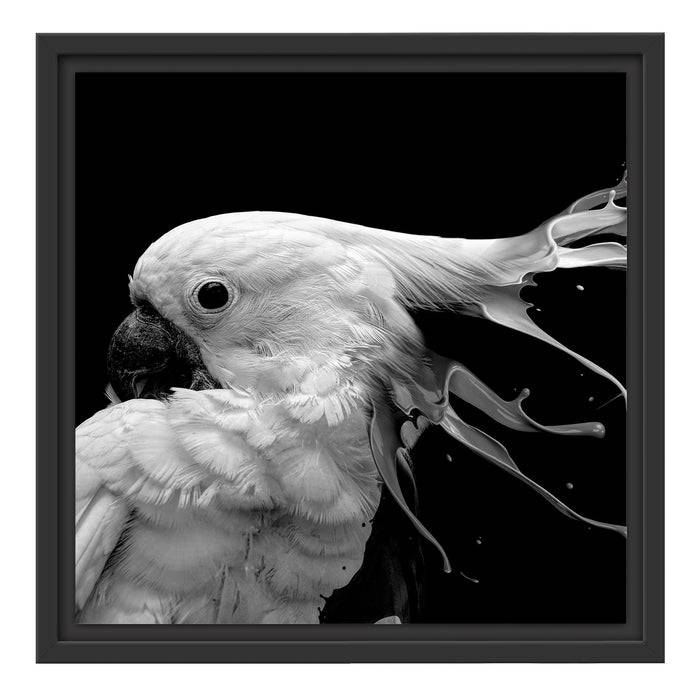 Pixxprint Papagei mit buntem Kamm, Monochrome, im Schwebe-Effekt Bilderrahmen Weihnachtsangebot