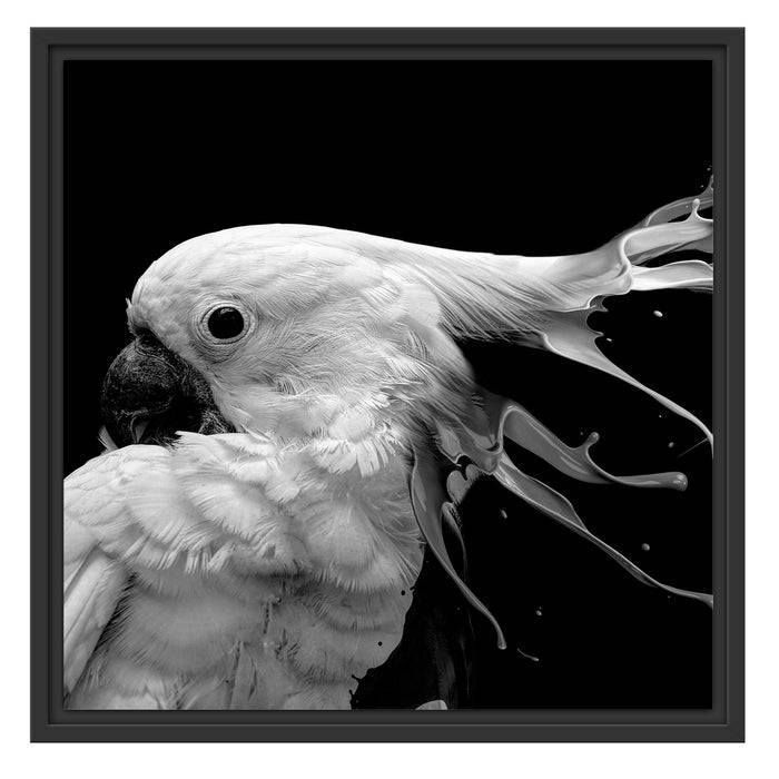 Pixxprint Papagei mit buntem Kamm, Monochrome, im Schwebe-Effekt Bilderrahmen Weihnachtsangebot