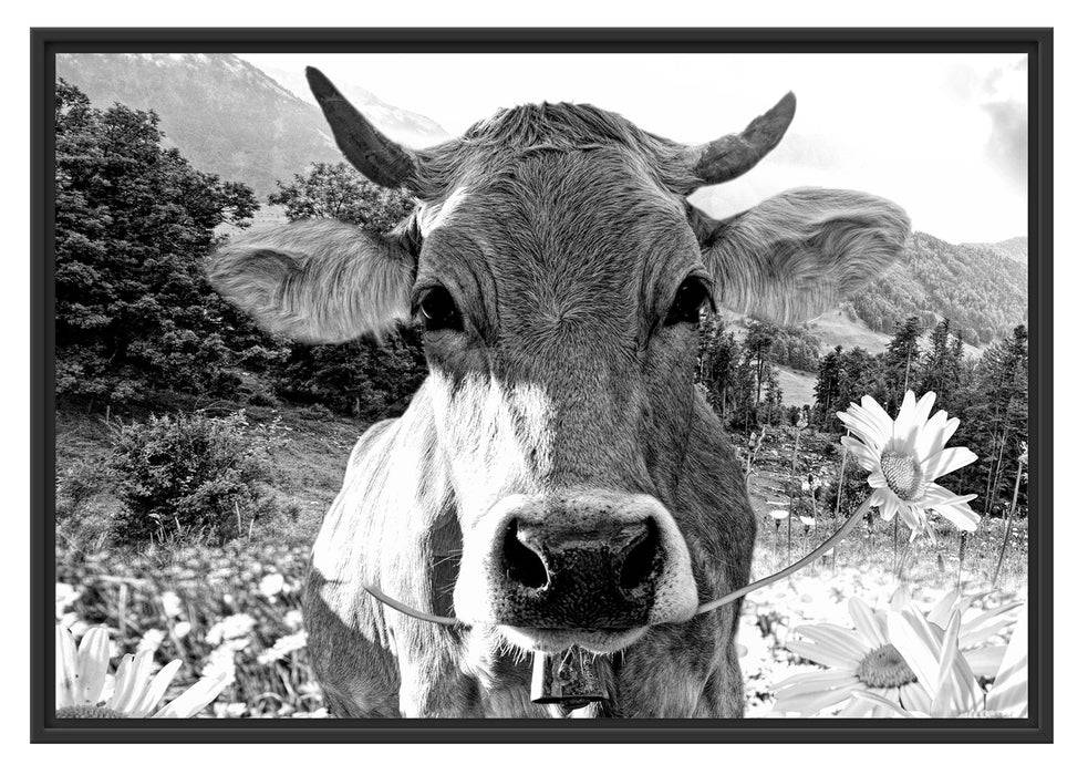 Pixxprint Nahaufnahme Kuh mit Margerite, Monochrome, im Schwebe-Effekt Bilderrahmen Valentinstagsangebot