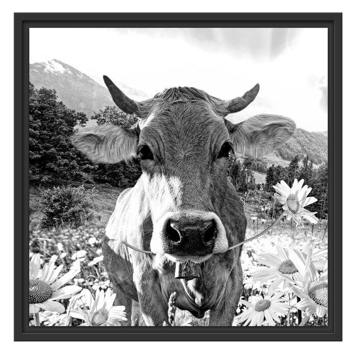 Pixxprint Nahaufnahme Kuh mit Margerite, Monochrome, im Schwebe-Effekt Bilderrahmen Valentinstagsangebot
