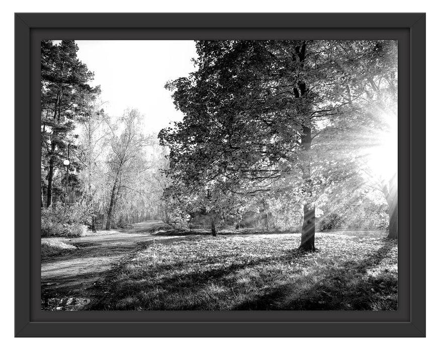 Pixxprint Weg durch bunten Herbstwald, Monochrome, im Schwebe-Effekt Bilderrahmen Jubiläumsangebot
