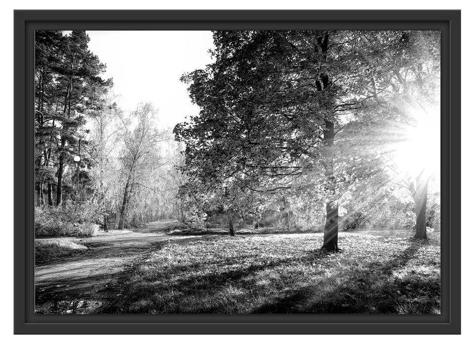 Pixxprint Weg durch bunten Herbstwald, Monochrome, im Schwebe-Effekt Bilderrahmen Jubiläumsangebot