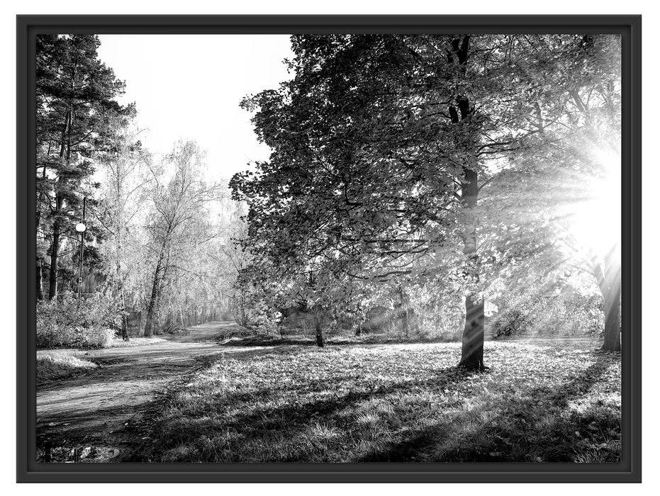 Pixxprint Weg durch bunten Herbstwald, Monochrome, im Schwebe-Effekt Bilderrahmen Jubiläumsangebot