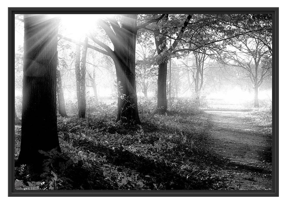 Pixxprint Sonnenstrahlen durch rote Herbstbäume, Monochrome, im Schwebe-Effekt Bilderrahmen Top Angebot