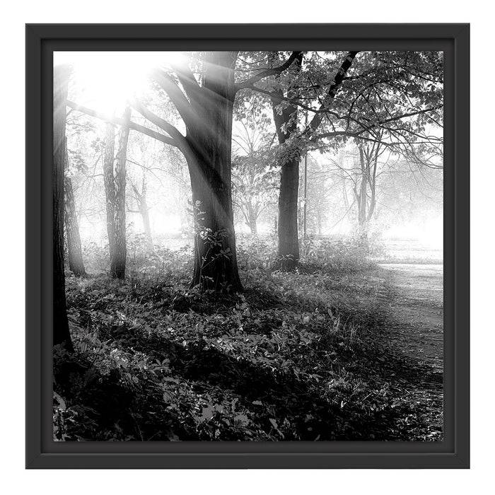 Pixxprint Sonnenstrahlen durch rote Herbstbäume, Monochrome, im Schwebe-Effekt Bilderrahmen Top Angebot