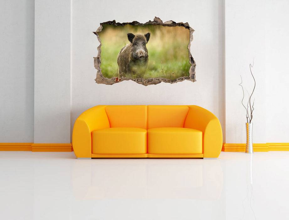 Pixxprint Stolzes Wildschwein im Wald, 3D Wandtattoo Saisonale Angebote