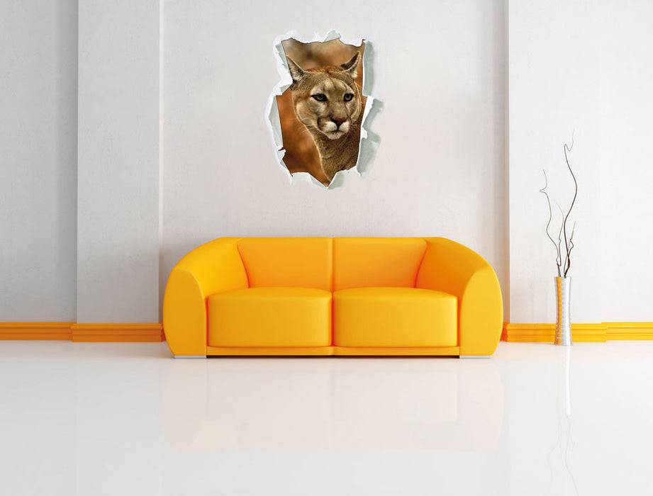 Pixxprint schöner Berglöwe, 3D Wandtattoo Kauf eins, bekomm eins gratis