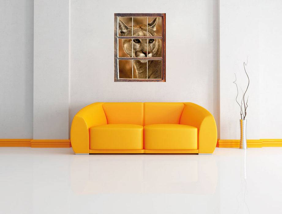 Pixxprint schöner Berglöwe, 3D Wandtattoo Kauf eins, bekomm eins gratis