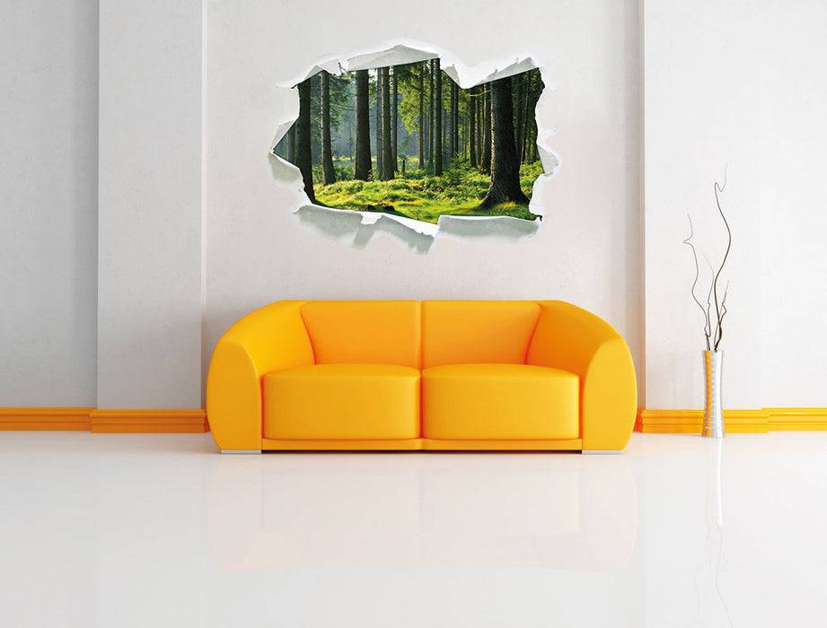 Pixxprint sonniger Tag im Wald, 3D Wandtattoo Tägliche Deals
