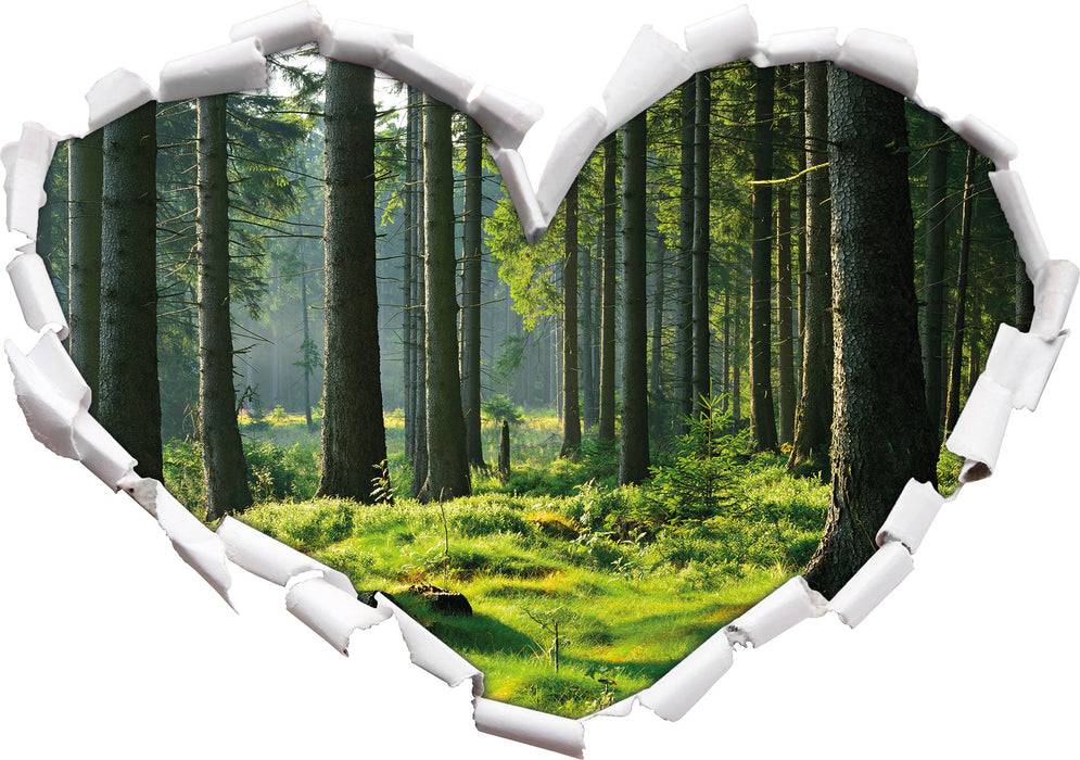 Pixxprint sonniger Tag im Wald, 3D Wandtattoo Tägliche Deals