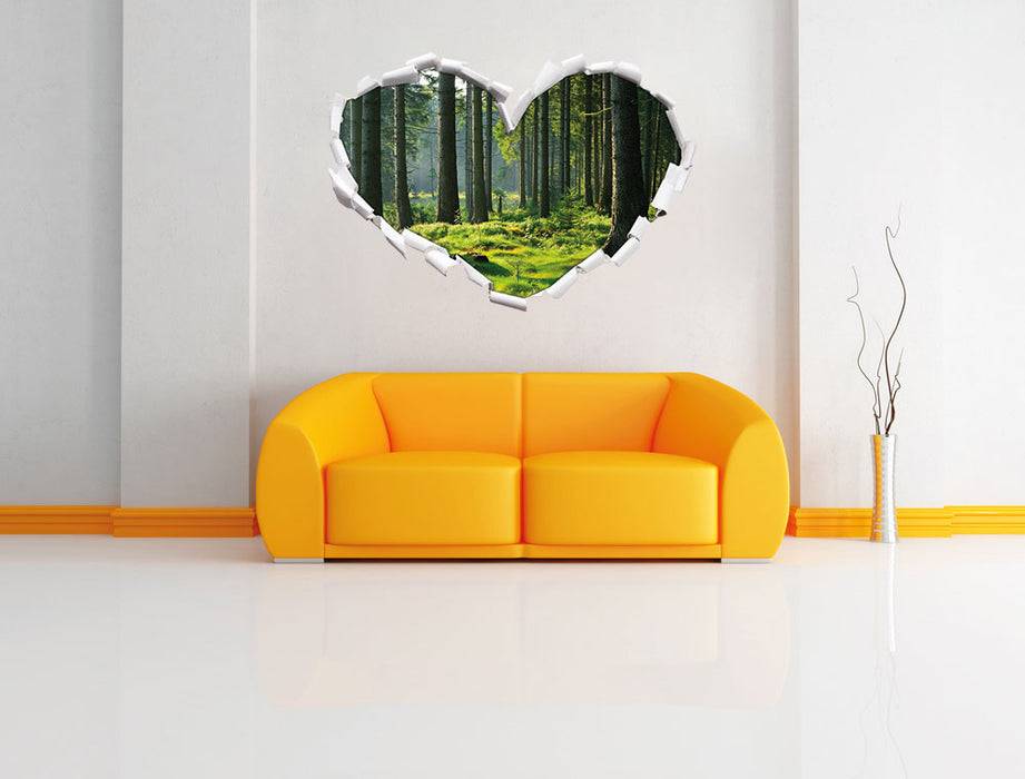 Pixxprint sonniger Tag im Wald, 3D Wandtattoo Tägliche Deals