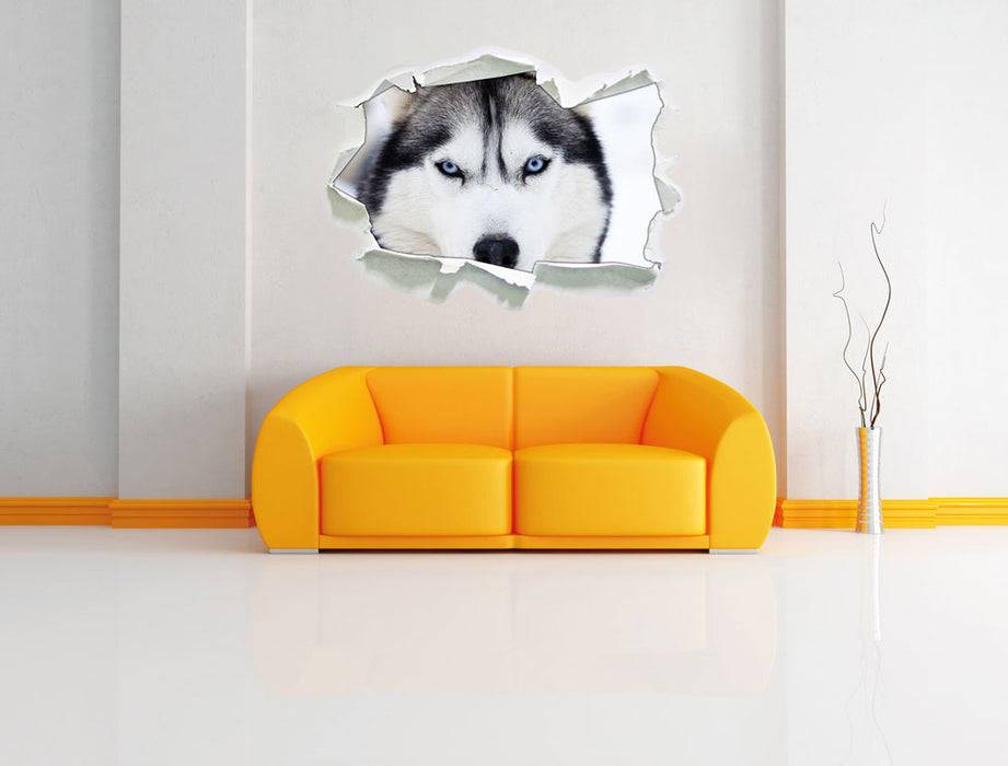 Pixxprint Husky, 3D Wandtattoo Kostenlose Rückgabe