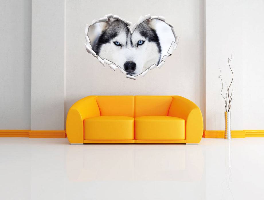 Pixxprint Husky, 3D Wandtattoo Kostenlose Rückgabe