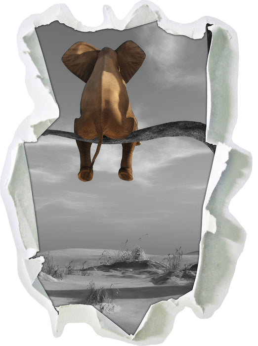 Pixxprint Elefant auf einem Ast in der Wüste, 3D Wandtattoo Letzte 3 Tage