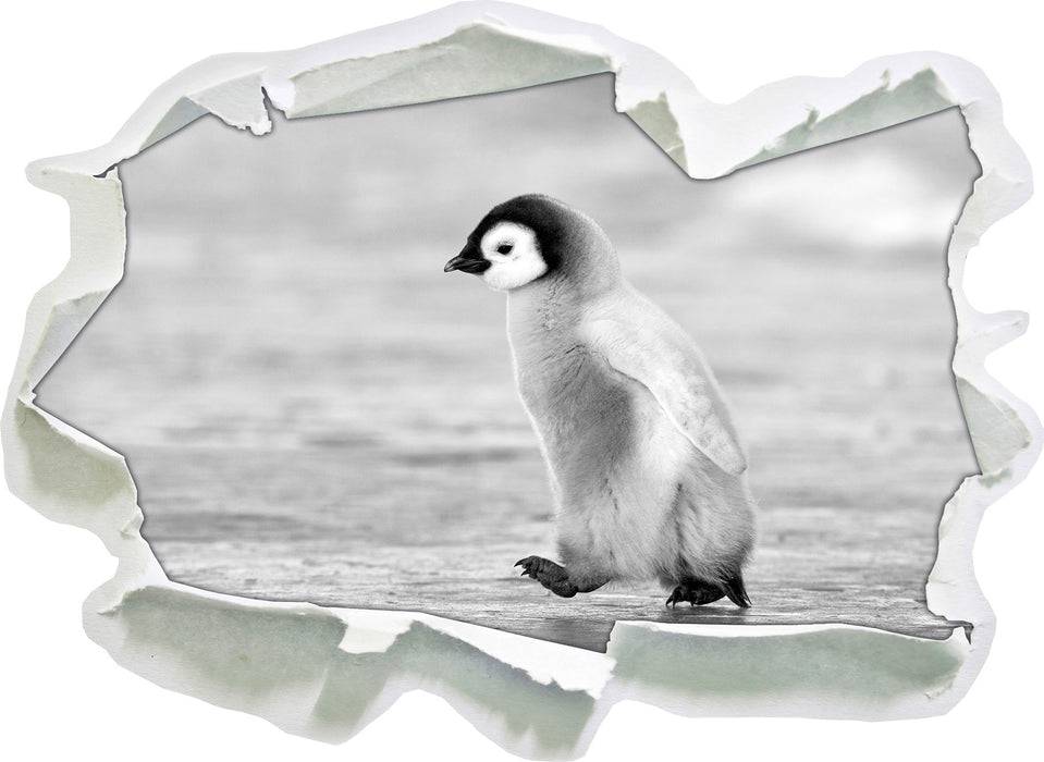 Pixxprint Kaiserpinguinkücken, 3D Wandtattoo Letzter Tag