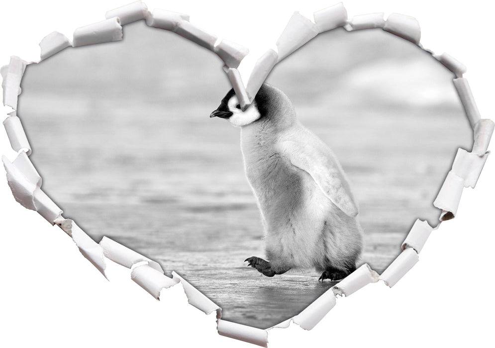 Pixxprint Kaiserpinguinkücken, 3D Wandtattoo Letzter Tag